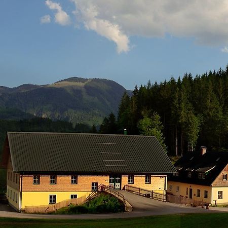 Ferienstadl - Hammerau Göstling an der Ybbs Eksteriør billede