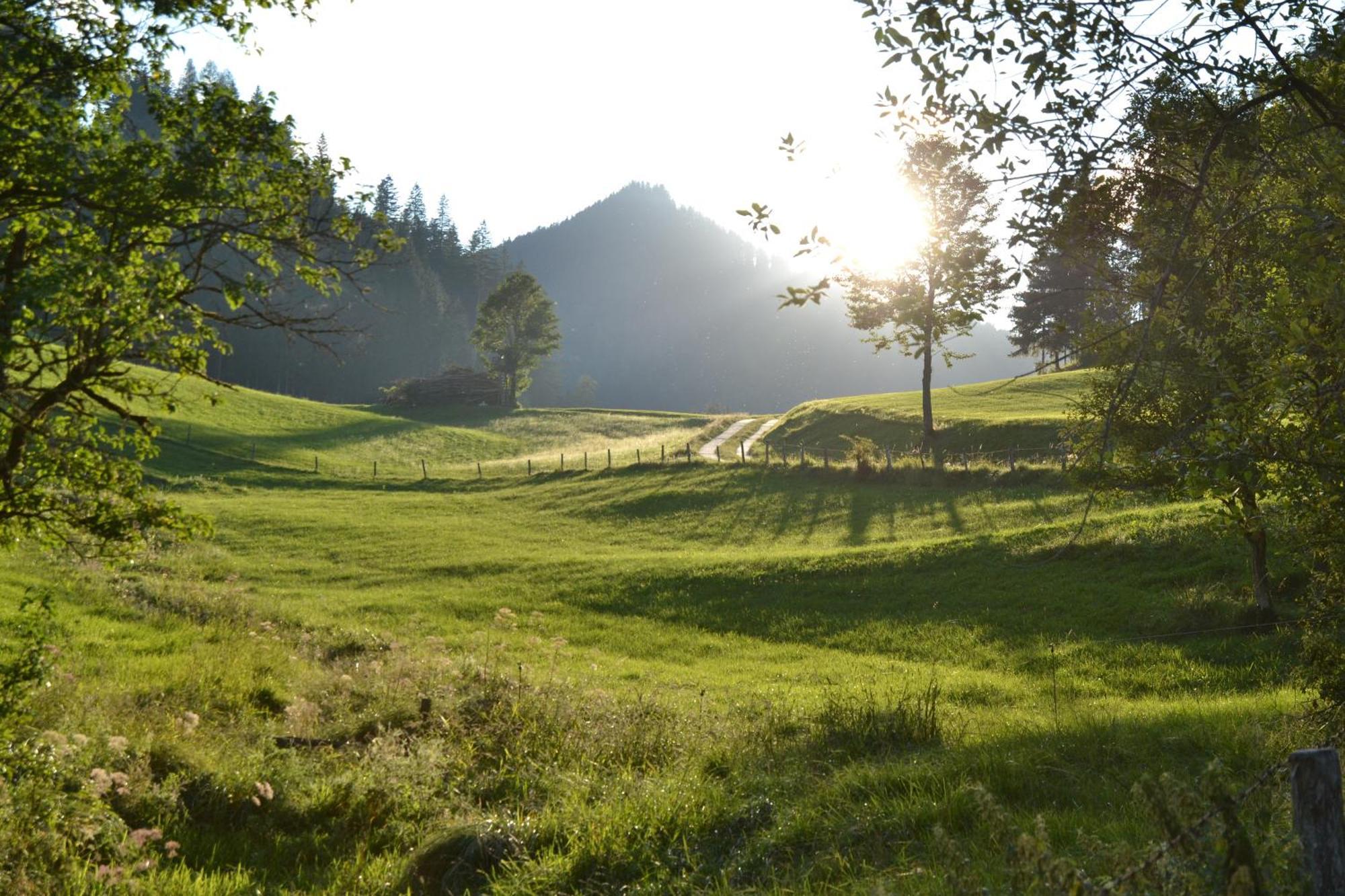 Ferienstadl - Hammerau Göstling an der Ybbs Eksteriør billede